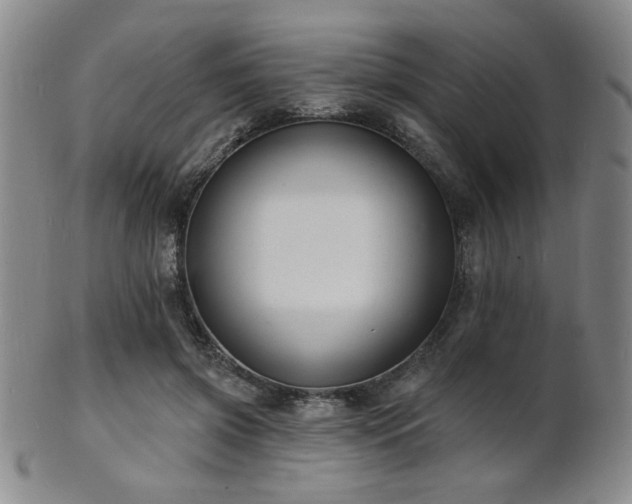 X0000101690549200807101515