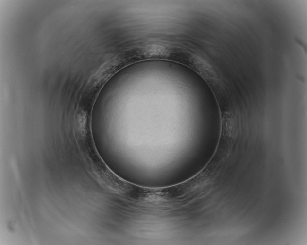 X0000101690550200807101515