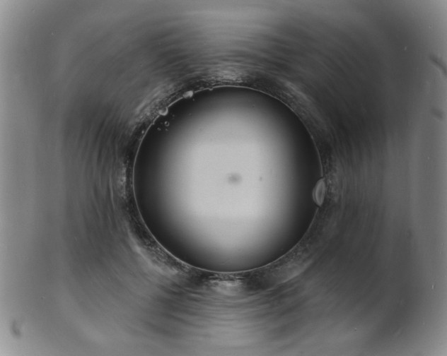 X0000101690552200807101515