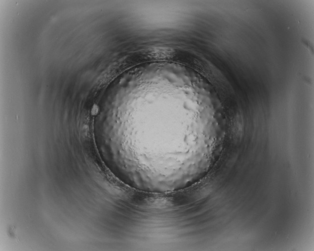 X0000101690553200807101515