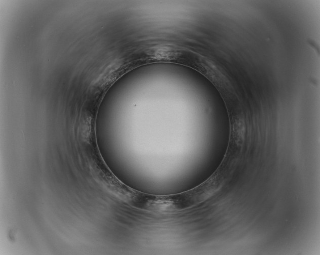 X0000101690554200807101515