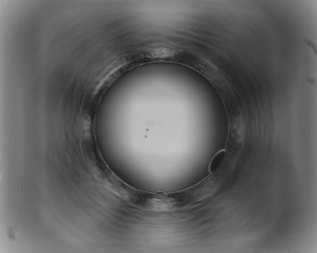 X0000101690556200807101515