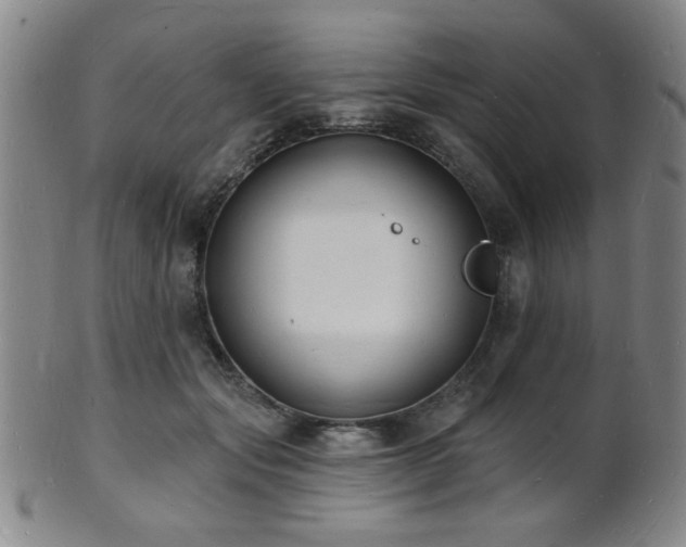 X0000101690557200807101515