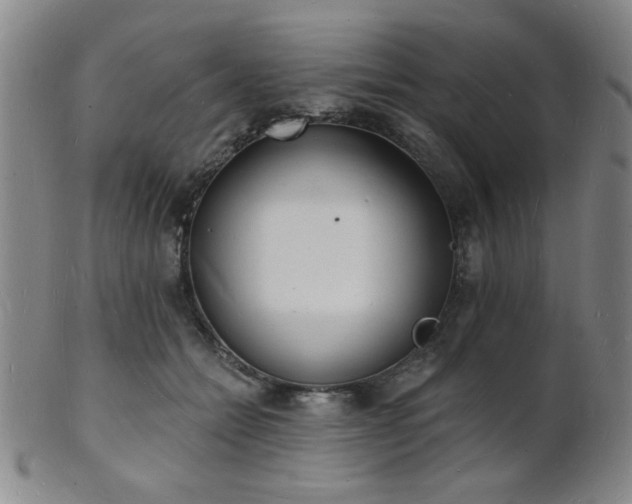 X0000101690558200807101515