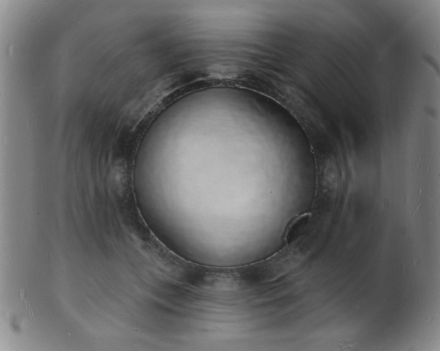 X0000101690559200807101515