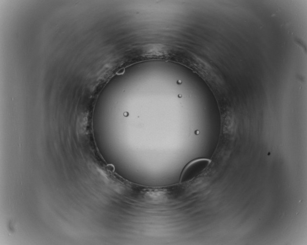 X0000101690560200807101515