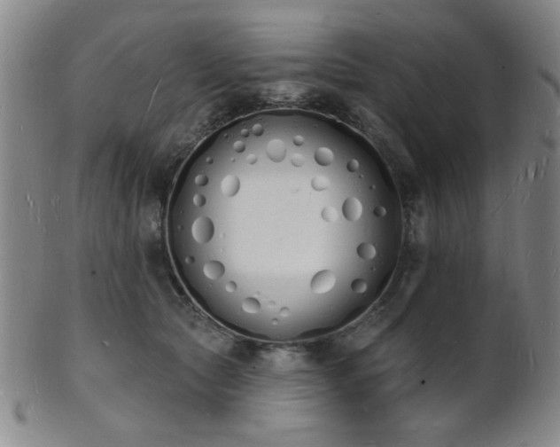 X0000101690561200807101515