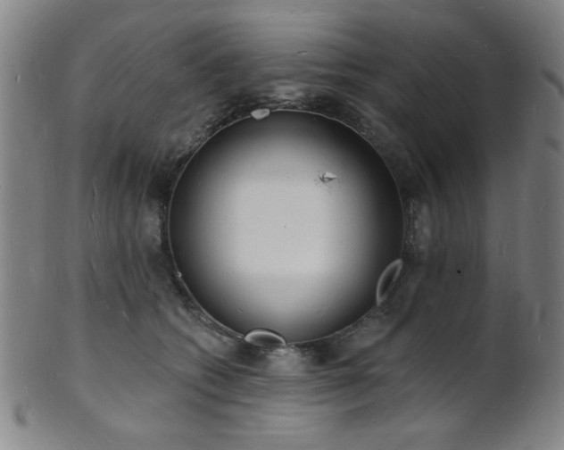 X0000101690562200807101515