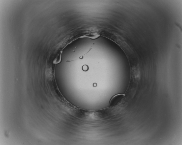 X0000101690564200807101516