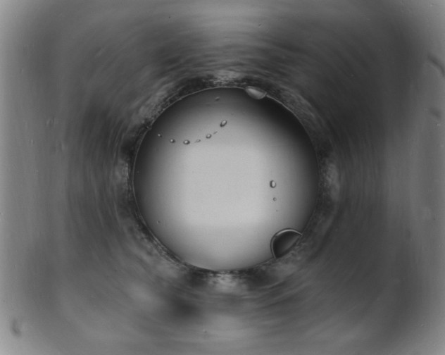 X0000101690565200807101516