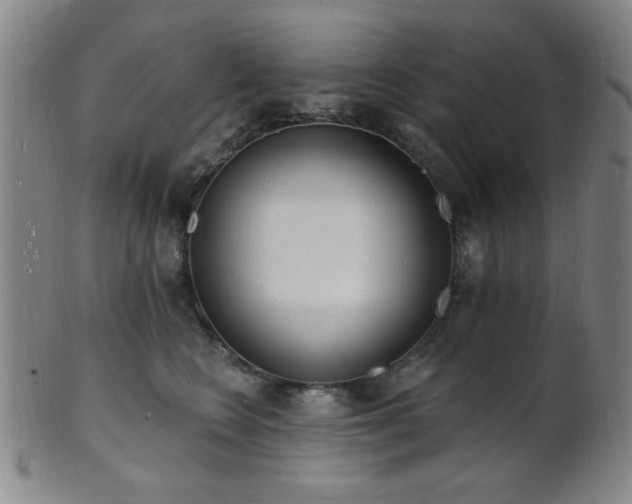 X0000101690566200807101516