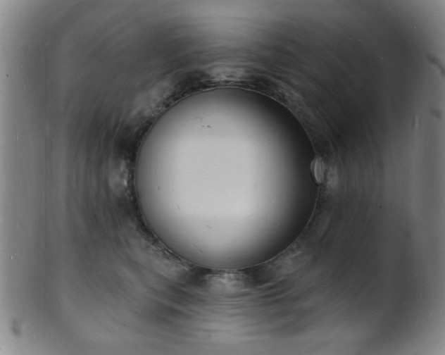 X0000101690567200807101516