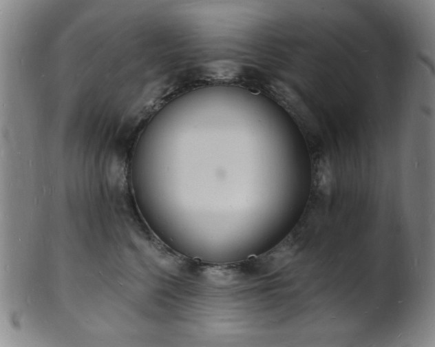 X0000101690568200807101516