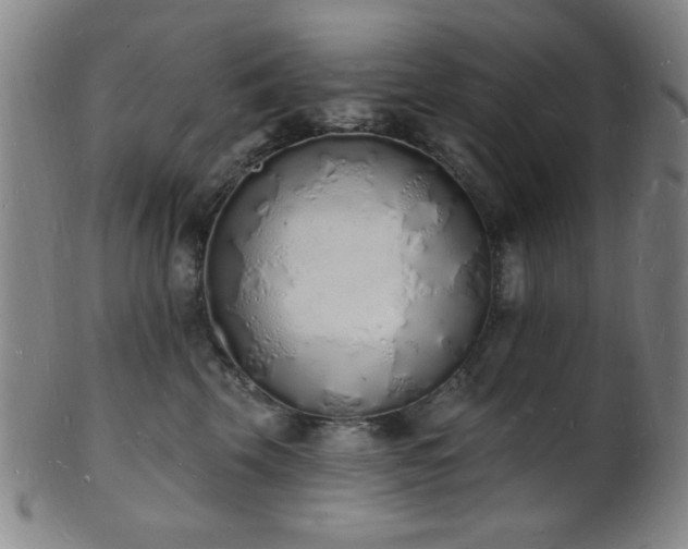 X0000101690569200807101516