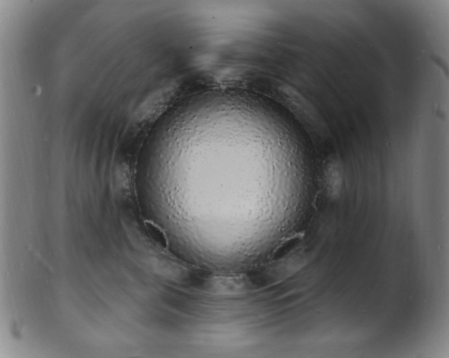 X0000101690571200807101516