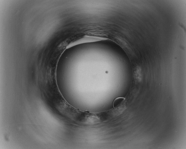 X0000101690572200807101516