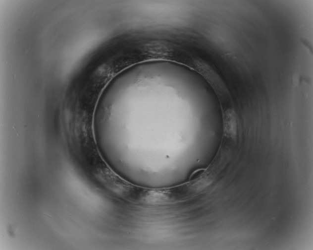 X0000101690573200807101516