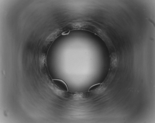 X0000101690574200807101516