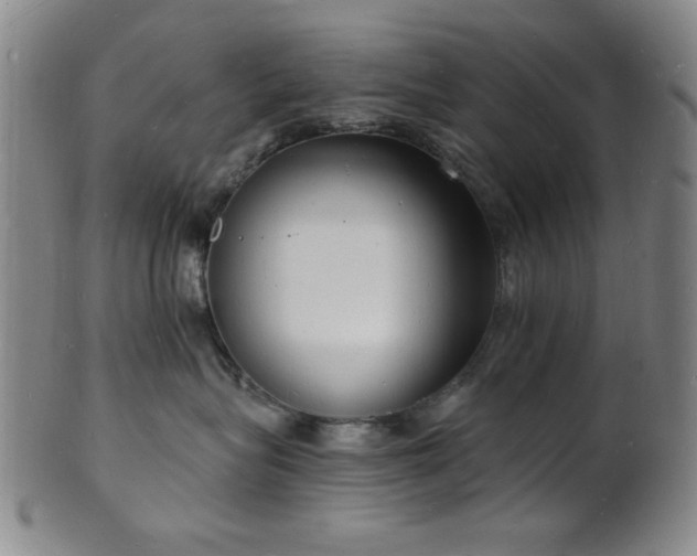 X0000101690575200807101516