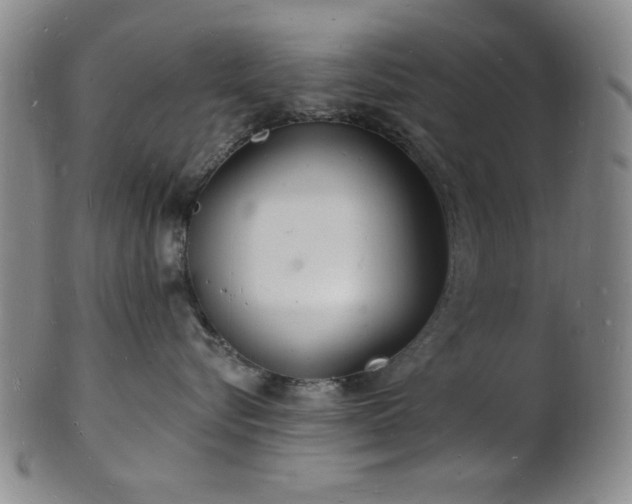 X0000101690576200807101516