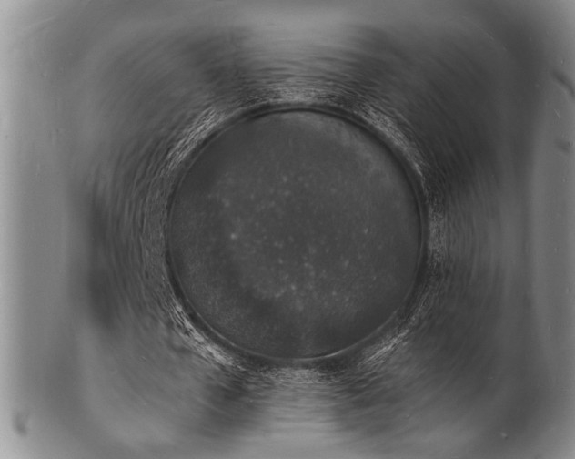 X0000101690577200807101515