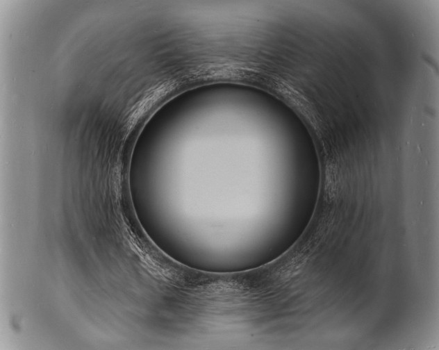 X0000101690578200807101515