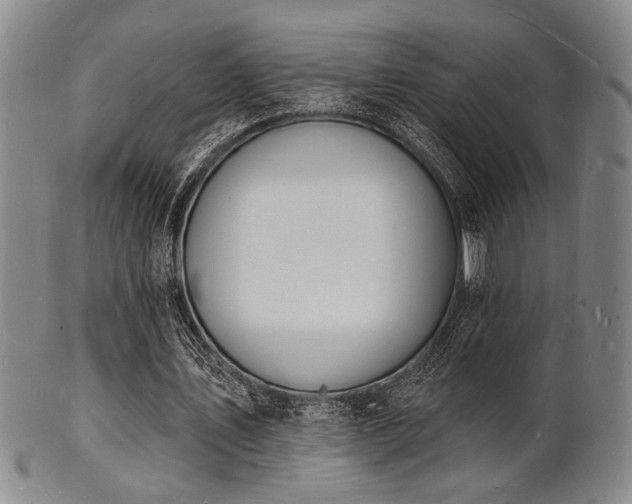 X0000101690579200807101515