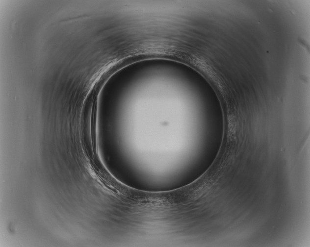 X0000101690580200807101515