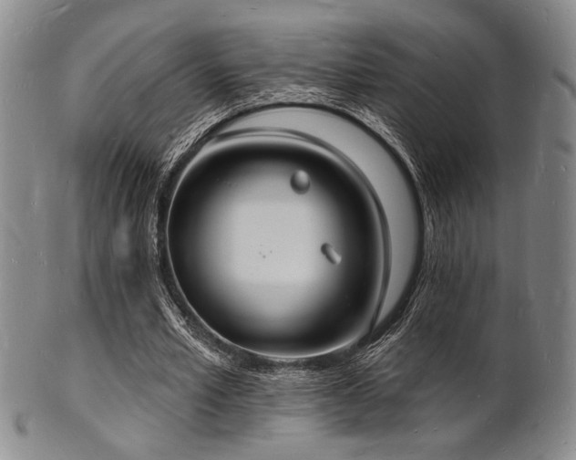 X0000101690581200807101515