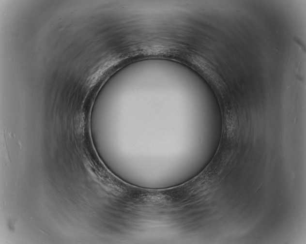 X0000101690583200807101515