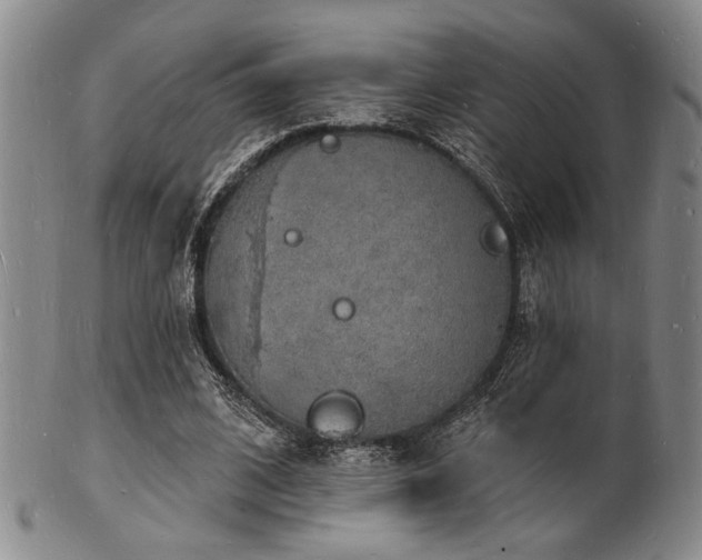 X0000101690584200807101515