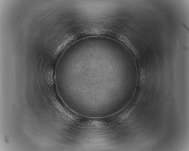 X0000101690585200807101515