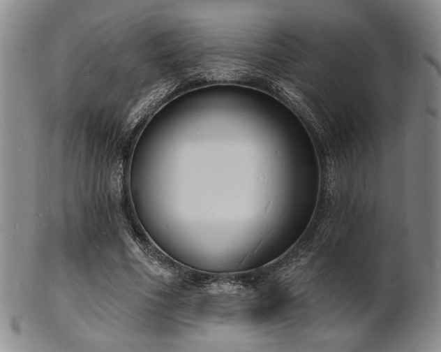 X0000101690586200807101515