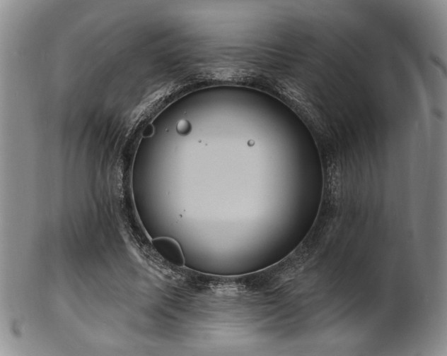 X0000101690587200807101515