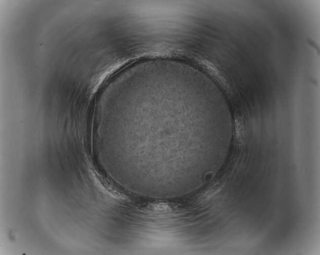 X0000101690588200807101515