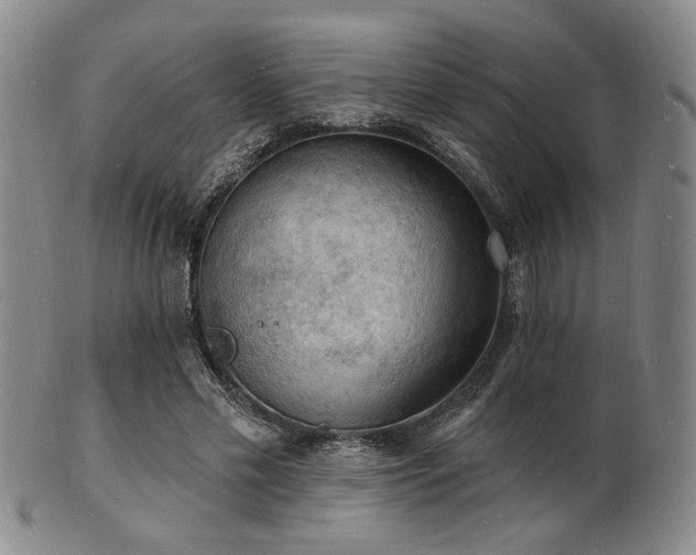 X0000101690589200807101515