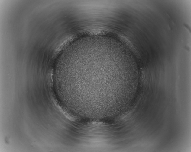 X0000101690590200807101515