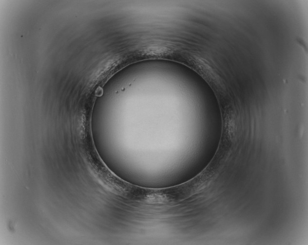 X0000101690591200807101515