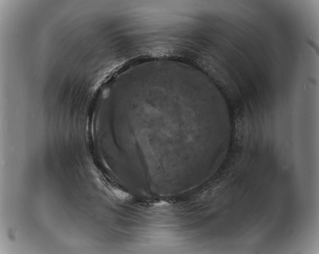 X0000101690592200807101515