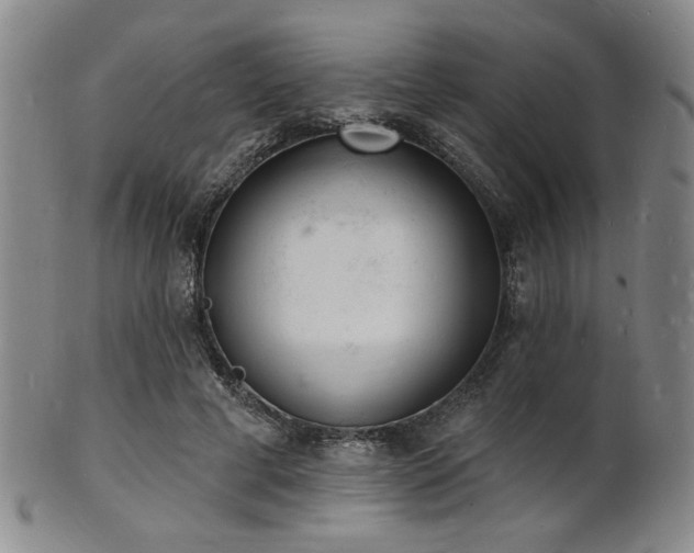 X0000101690593200807101515