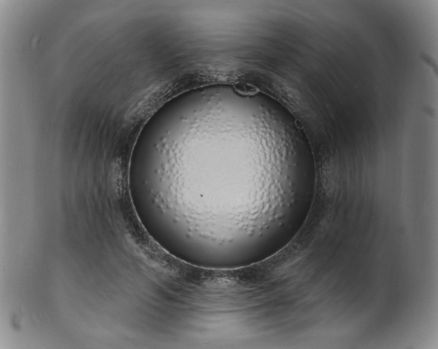 X0000101690594200807101515