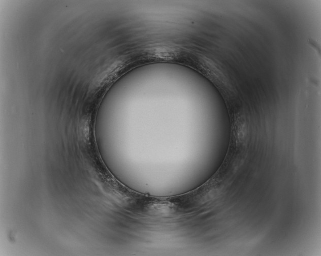 X0000101690595200807101515