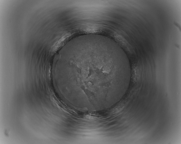 X0000101690596200807101515