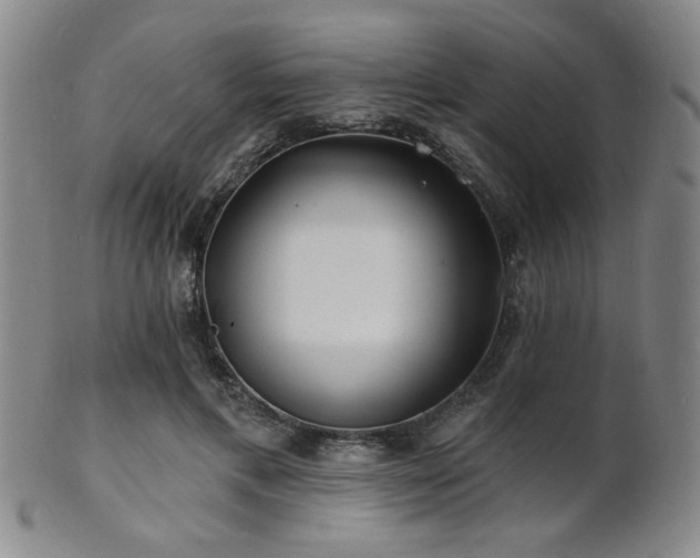 X0000101690597200807101515