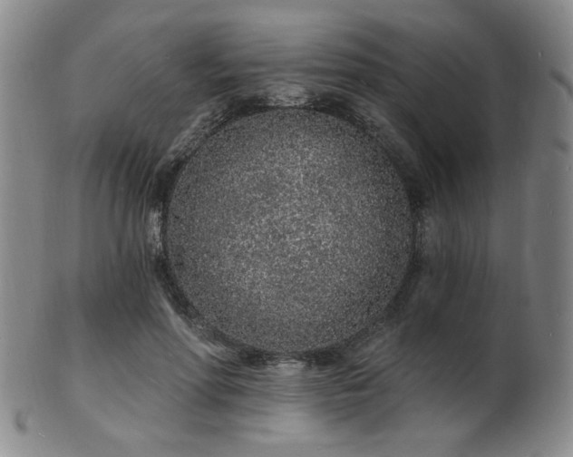 X0000101690598200807101515