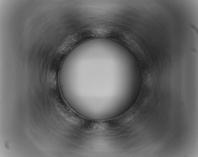 X0000101690599200807101515