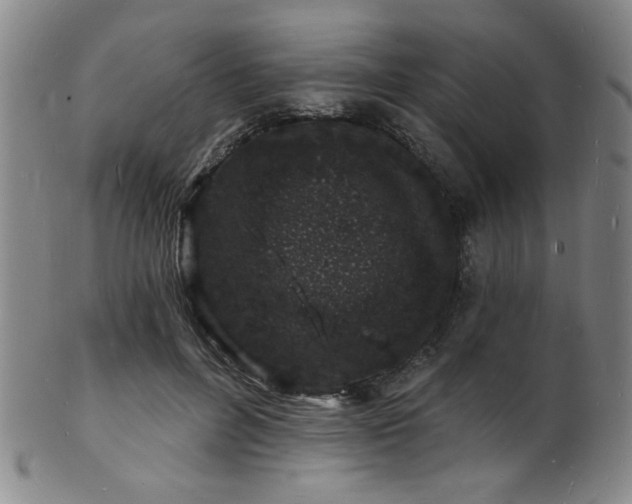 X0000101690600200807101515