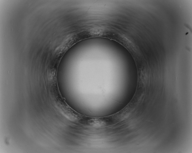 X0000101690601200807101515