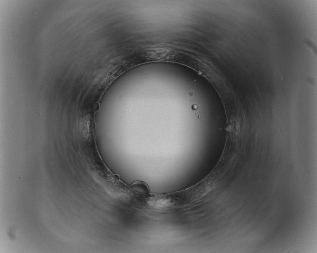 X0000101690602200807101515