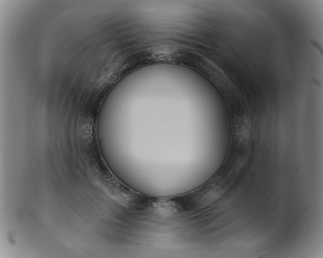 X0000101690603200807101515